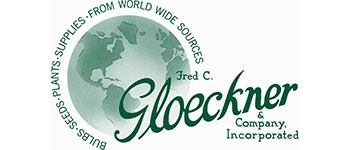 Gloeckner