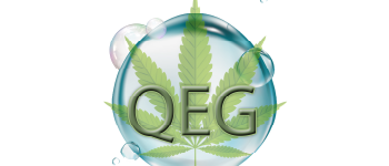 Quality Extraction Group